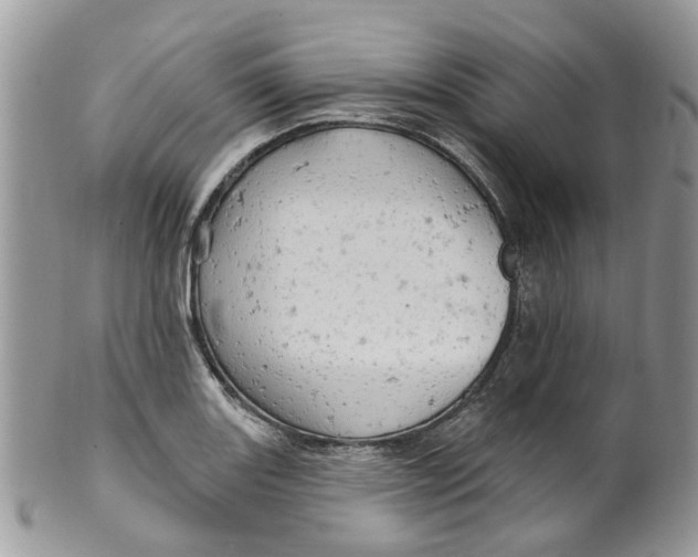 X0000099501131200806051116