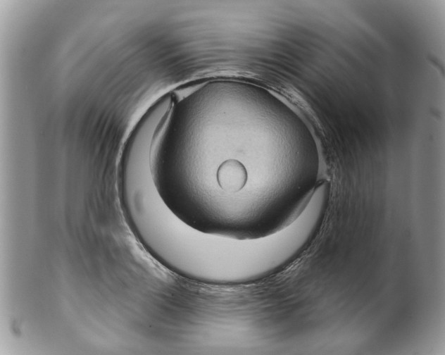 X0000099501132200806051116