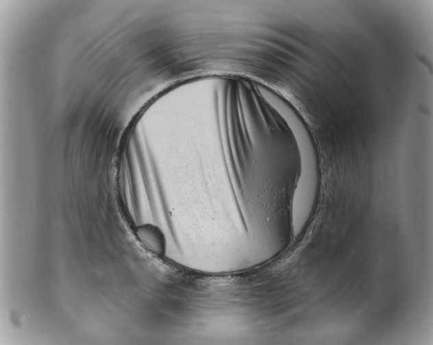 X0000099501134200806051116