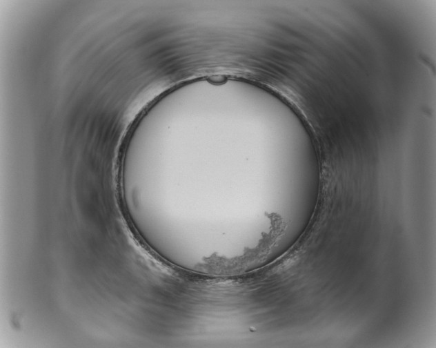 X0000099501135200806051116