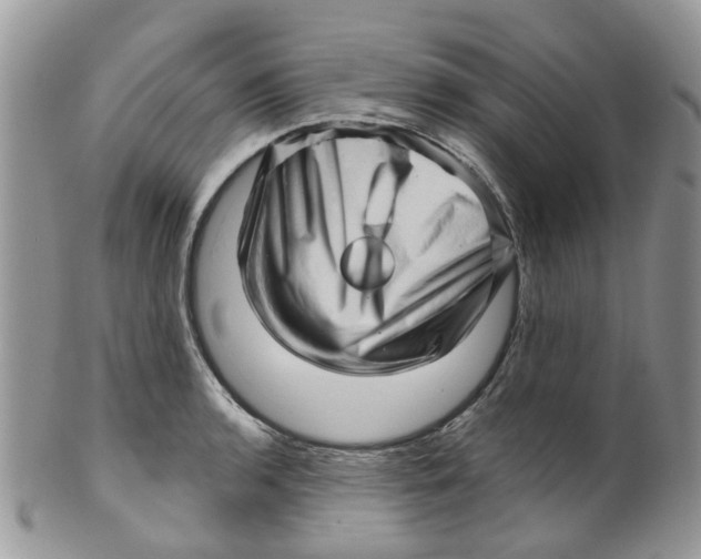 X0000099501136200806051116