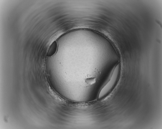 X0000099501137200806051116