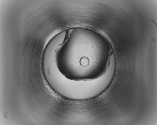 X0000099501138200806051116