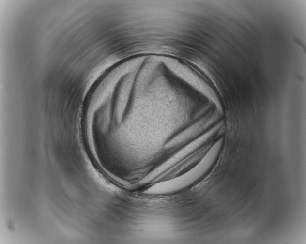 X0000099501139200806051116