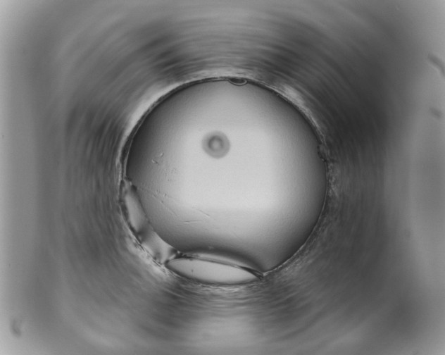 X0000099501140200806051116