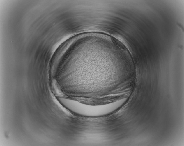 X0000099501142200806051116