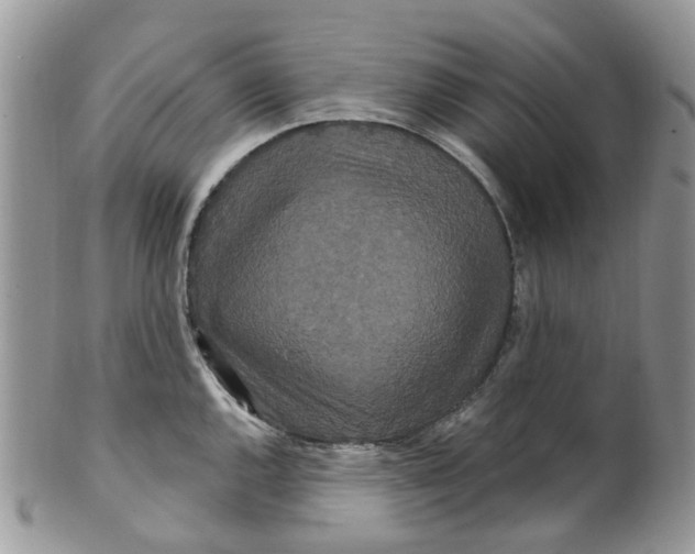 X0000099501144200806051116