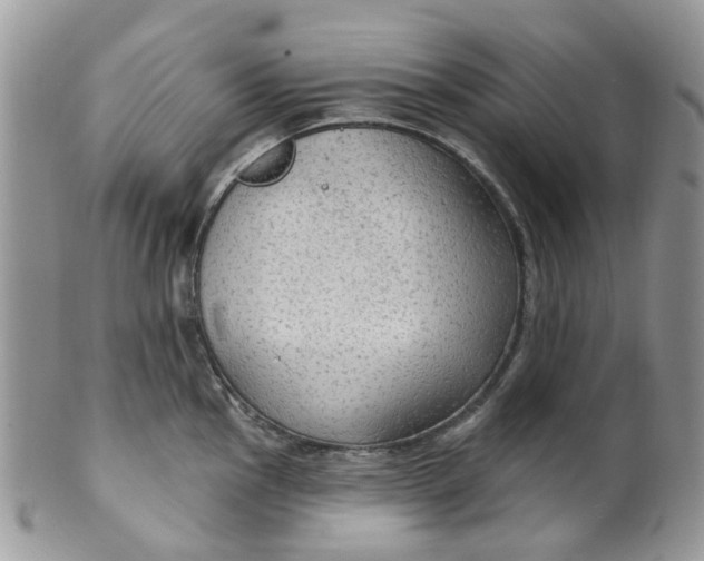 X0000099501145200806051116