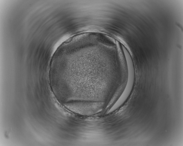 X0000099501146200806051117