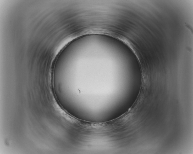 X0000099501147200806051117