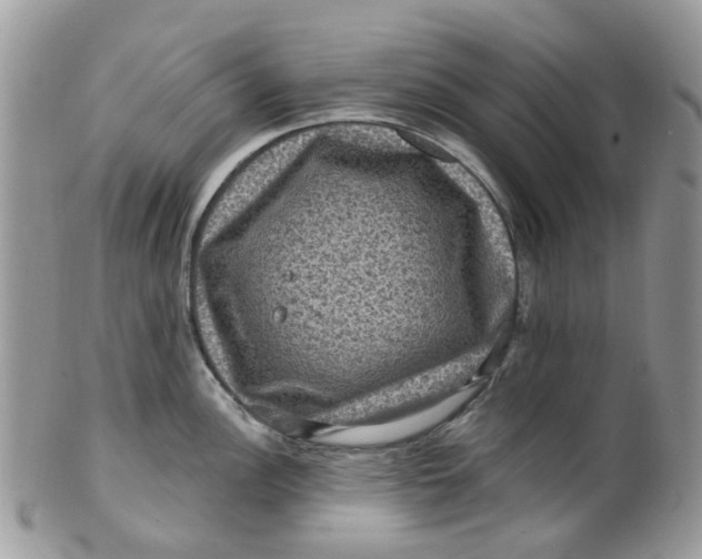 X0000099501148200806051117