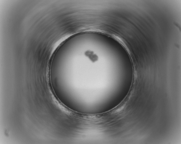 X0000099501149200806051117