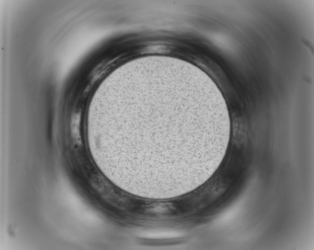 X0000099501150200806051117