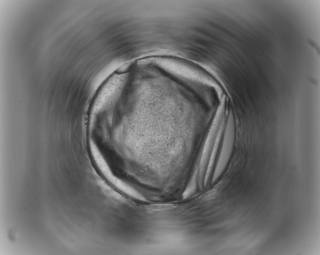 X0000099501151200806051117