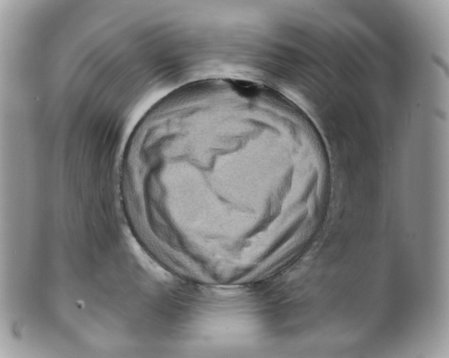 X0000099501152200806051117