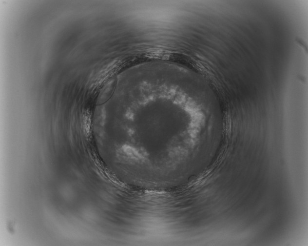 X0000099501154200806051116