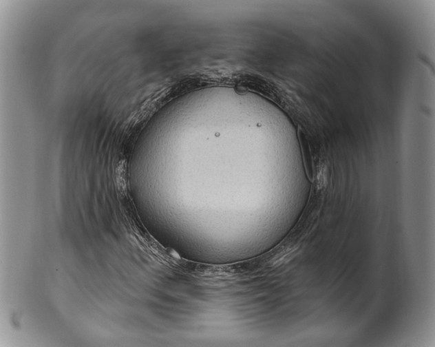 X0000099501156200806051116