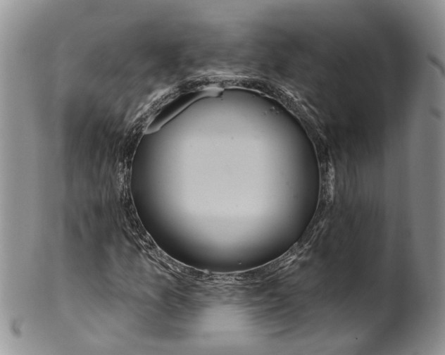 X0000099501157200806051116