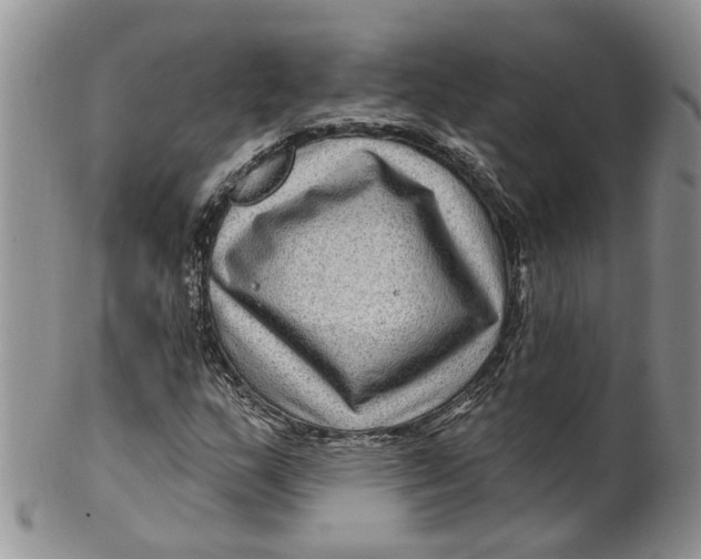 X0000099501159200806051116