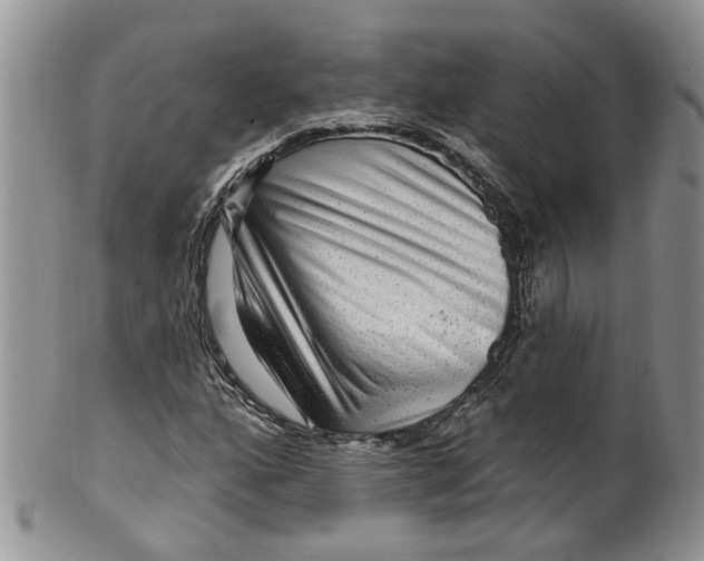 X0000099501160200806051116