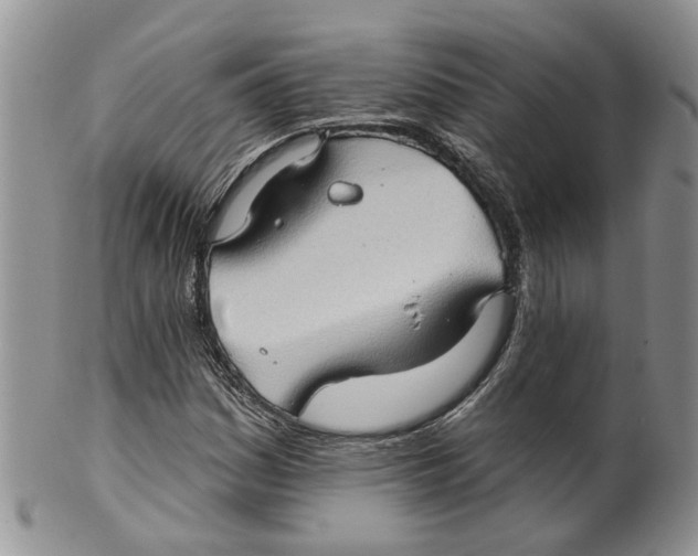 X0000099501161200806051116