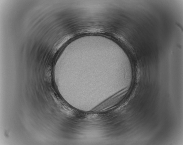 X0000099501162200806051116