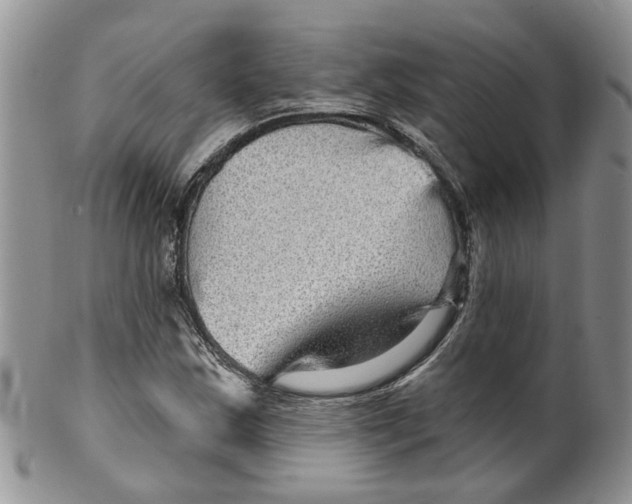 X0000099501163200806051116