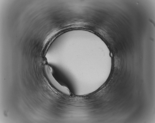 X0000099501164200806051116