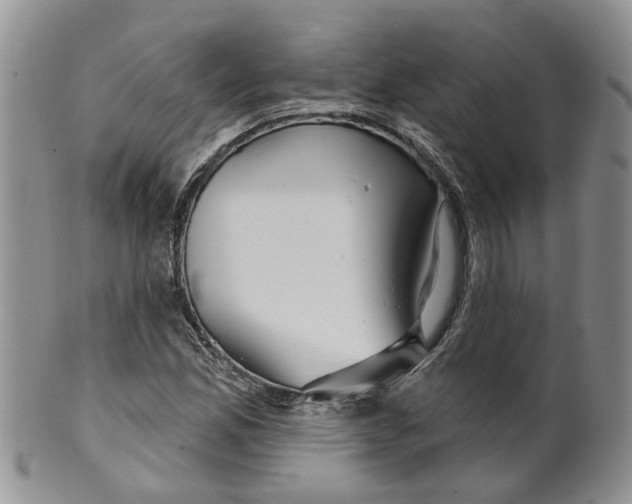 X0000099501165200806051116