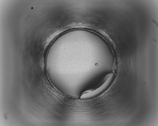 X0000099501167200806051115