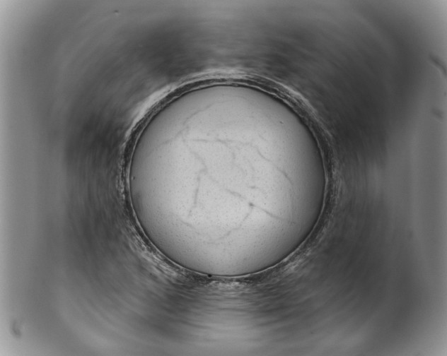 X0000099501168200806051115