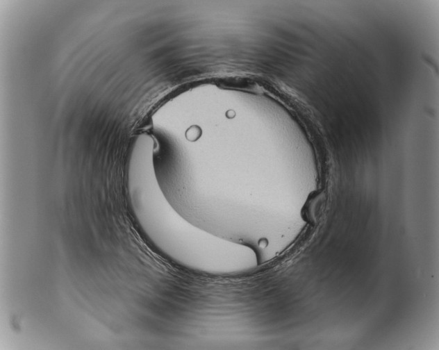 X0000099501169200806051115