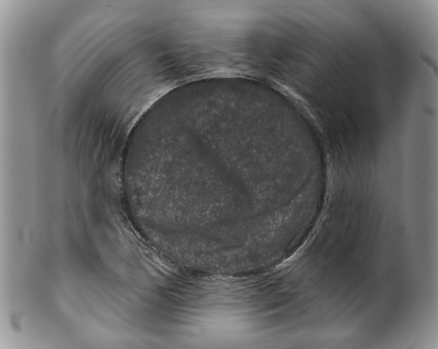 X0000099501170200806051115