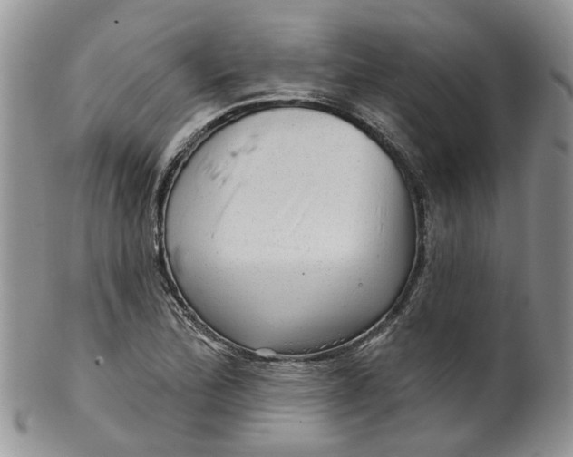 X0000099501172200806051115