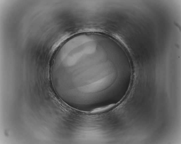 X0000099501173200806051115