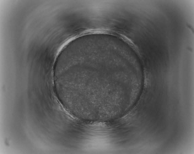 X0000099501174200806051115