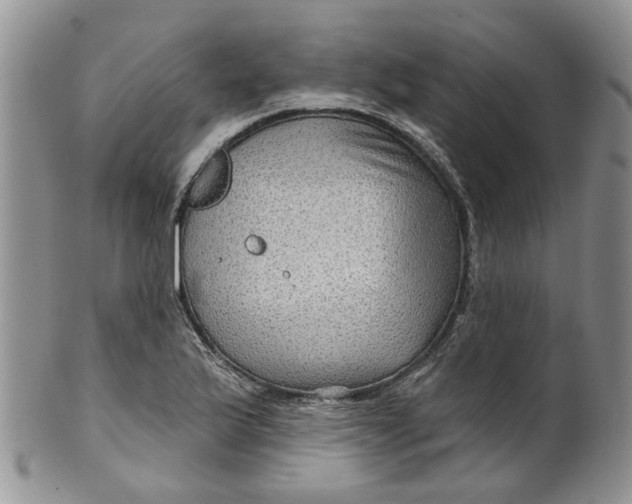 X0000099501175200806051115