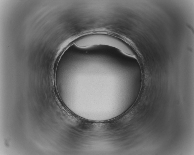 X0000099501176200806051115