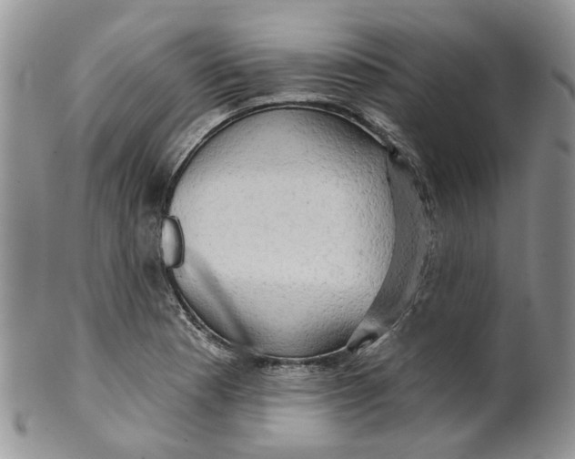 X0000099501177200806051115