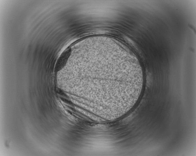 X0000099501178200806051115