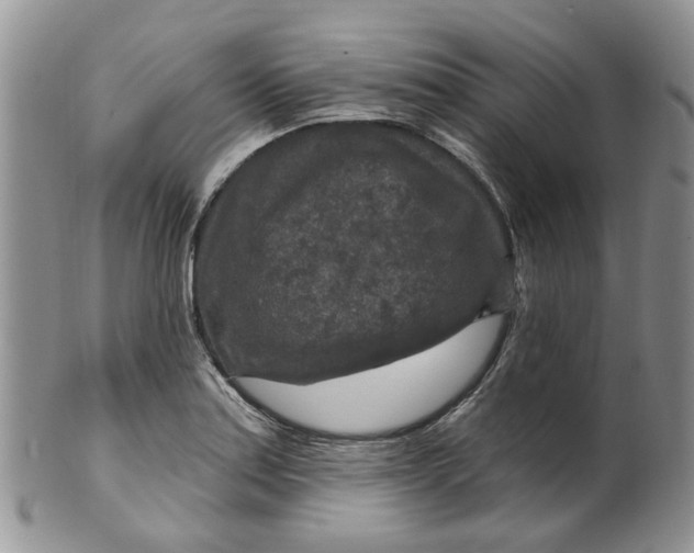 X0000099501179200806051115