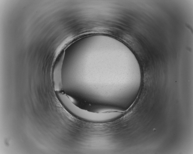 X0000099501180200806051115