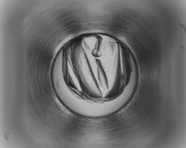 X0000099501181200806051115