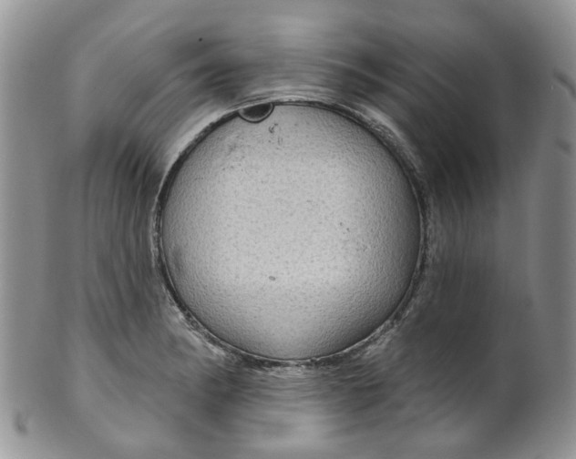 X0000099501182200806051115