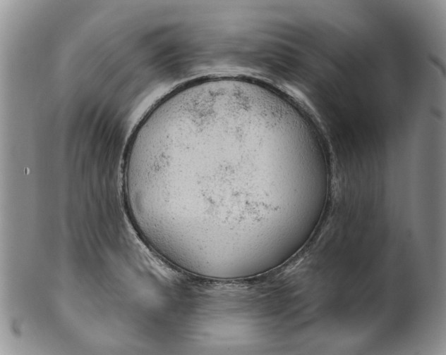 X0000099501183200806051115