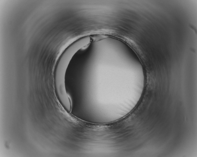 X0000099501184200806051115