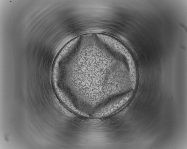 X0000099501186200806051115