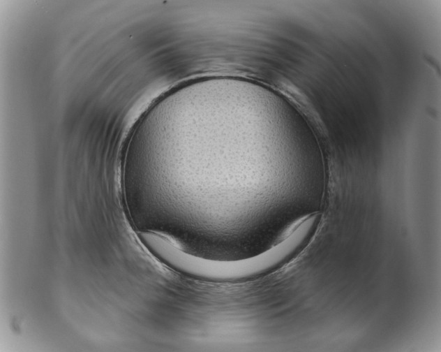 X0000099501188200806051115