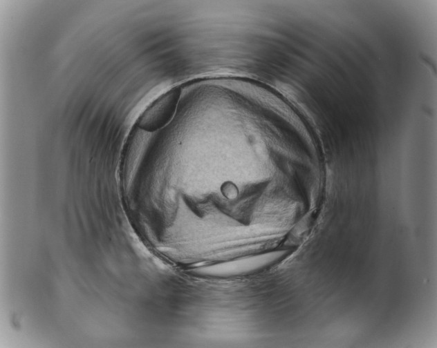 X0000099501189200806051115