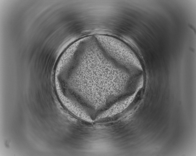 X0000099501190200806051115